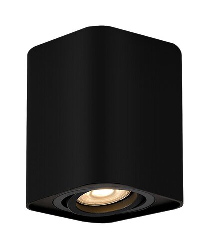 Kobald | Minimalistické bodové stropní svítidlo | Černé | GU10 - 2049 2 - 2