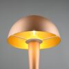 Trio R59561165 Canaria LED Dotyková stolní lampa | Teplá bílá | 4,9W