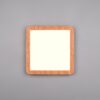 Trio R62931835 Camillus LED stropní svítidlo | Teplá bílá | 16W