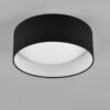 Trio R64191102 Locarno LED stropní svítidlo | Teplá bílá | 12W | Bílá
