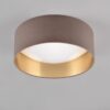 Trio R64191141 Locarno LED stropní svítidlo | Teplá bílá | 12W