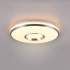 Trio R64401005 Realta LED Stropní svítidlo s ovladačem | RGB | Variabilní | 21W | Kov