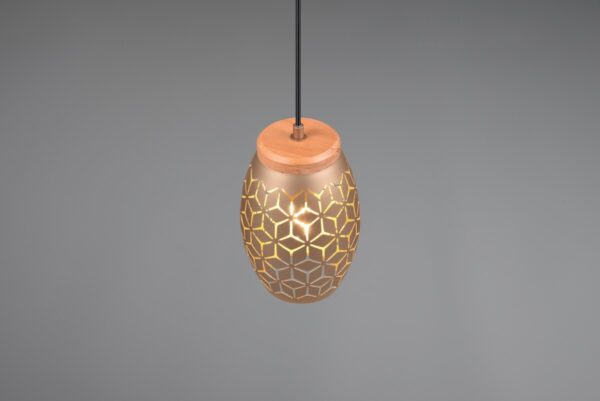 Trio R31571065 Bidar Lustr | E27