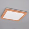 Trio R62931835 Camillus LED stropní svítidlo | Teplá bílá | 16W