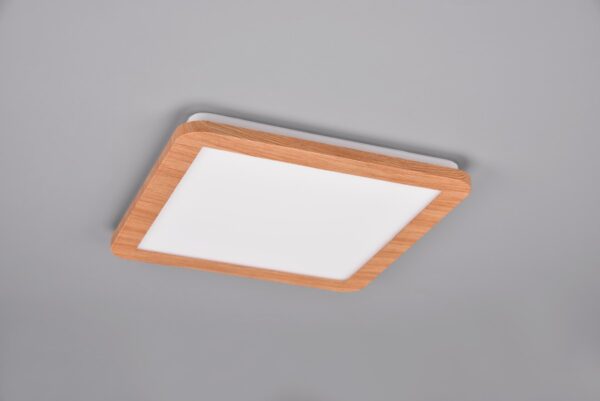 Trio R62931835 Camillus LED stropní svítidlo | Teplá bílá | 16W