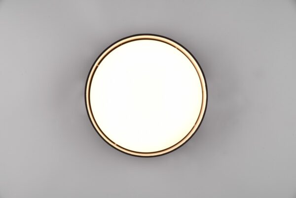 Trio R64191102 Locarno LED stropní svítidlo | Teplá bílá | 12W | Bílá