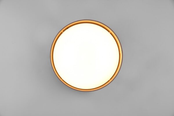 Trio R64191141 Locarno LED stropní svítidlo | Teplá bílá | 12W