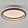 Trio R64282132 Hiko LED Stropní svítidlo s ovladačem | RGB | Variabilní | Černá | 183W