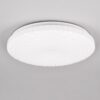 Trio R64311101 Vega LED stropní svítidlo | Teplá bílá | 16W | Bílá