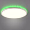 Trio R64371931 Aureo LED Stropní svítidlo s ovladačem | RGB | Variabilní | 30W | Bílá