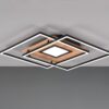 Trio 620710330 Via LED Přisazené stropní svítidlo | Variabilní | 36W | Černá