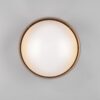 Trio R64191141 Locarno LED stropní svítidlo | Teplá bílá | 12W