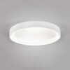 Trio 641310231 Doha LED Přisazené stropní svítidlo | Variabilní | 29W | Bílá