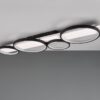 Trio 643810432 Madera LED Přisazené stropní svítidlo | Teplá bílá | 44W | Černá