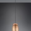 Trio R31571065 Bidar Lustr | E27