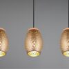 Trio R31573065 Bidar Lustr | E27