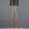 Trio R41561065 Colette Stojací lampa | E27 | Černá