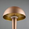 Trio R59561165 Canaria LED Dotyková stolní lampa | Teplá bílá | 4,9W