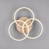 Trio R62823135 Circle LED stropní svítidlo | Variabilní | 27W