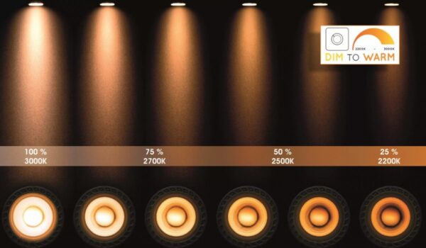 Lucide 09922/12/31 Fedler LED bodové svítidlo | Teplá bílá | 12W | Bílá