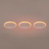 Trio 653610331 Argus LED Bodové svítidlo | RGB | Teplá bílá | 3X4W | Bílá