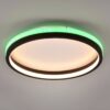 Trio R64282132 Hiko LED Stropní svítidlo s ovladačem | RGB | Variabilní | Černá | 183W