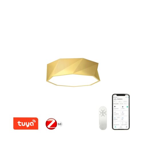 Immax 07132-G40 LED stropní svítidlo | Variabilní | 31W