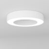 Immax 07144-GR60 LED stropní svítidlo | Variabilní | 52W | 6