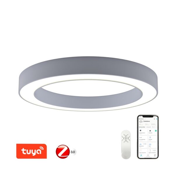 Immax 07144-GR95 LED stropní svítidlo | Variabilní | 66W | 1
