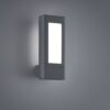 Trio 221660242 Rhine LED Nástěnné venkovní světlo | Teplá bílá | 2x4W | Černá