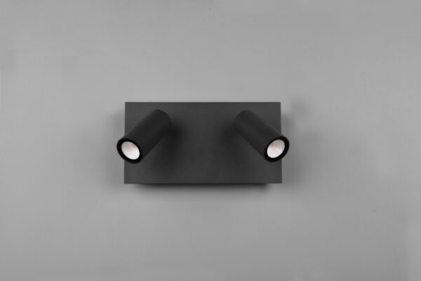 Trio 222960242 Tunga LED Nástěnné venkovní světlo | Teplá bílá | Černá | 2x3,5W