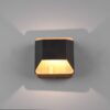 Trio 224810132 Arino LED Dřevěné nástěnní svítidlo | Teplá bílá | Černá | 4,3W