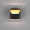 Trio 224810132 Arino LED Dřevěné nástěnní svítidlo | Teplá bílá | Černá | 4,3W
