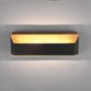 Trio 224819132 Arino LED Dřevěné nástěnní svítidlo | Teplá bílá | Černá | 13,5W