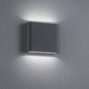 Trio 227560242 Thames Ii LED Nástěnné venkovní světlo | Teplá bílá | 2x3W | Černá