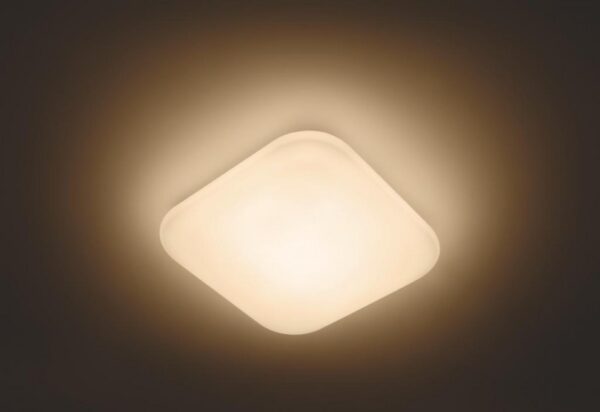 Philips 31110/31/P0 LED stropní svítidlo | Teplá bílá | Bílá |  17 W