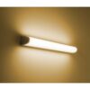 Philips 31166/99/P1 LED nástěnní svítidlo | Teplá bílá | 11 W | 4