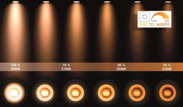Lucide 31931/24/30 Tala LED bodové svítidlo | Teplá bílá | Černá | 12W