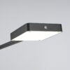 Trio 470310132 Pavia LED Stmívatelná stojací lampa | Variabilní | 12W | Černá