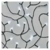 Emos D4AC05 vánoční řetěz Classic 24m 240 LED | 6W | IP44 - časovač, studená bílá, zelená