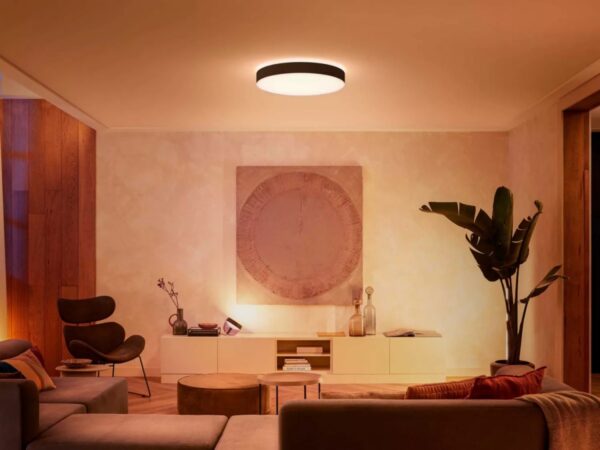 Philips Hue 41161/30/P6 Smart LED stropní svítidlo | Variabilní | 48W | Černá
