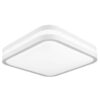Palnas 9961000701 Bary LED stropní svítidlo | Teplá bílá | Bílá | 60W