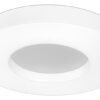 Palnas 9961001043 Evik LED stropní svítidlo | Přírodní bílá | Bílá | 35W