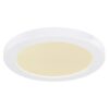 Globo 12379-18W LED stropní svítidlo | Variabilní | Bílá