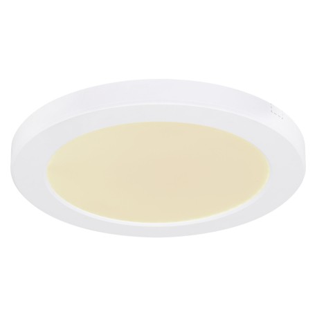 Globo 12379-18W LED stropní svítidlo | Variabilní | Bílá