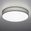 Trio 621914011 Lugano LED stropní svítidlo | Variabilní | 40W | Šedá