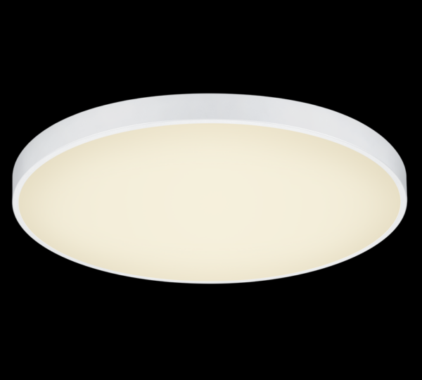 Trio 627417531 Waco LED stropní svítidlo | Variabilní | 2x51W | Bílá