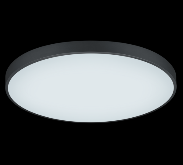 Trio 627417532 Waco LED stropní svítidlo | Variabilní | 2x51W | Černá