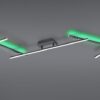 Trio 628410532 Arvin LED Přisazené stropní svítidlo | Teplá bílá | Variabilní | Černá | 22W