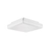 LUXERA 94063208 Tver LED Koupelnové stropní svítidlo | Přírodní bílá | 20W | Bílá | Kov